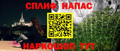 шишки Можайск