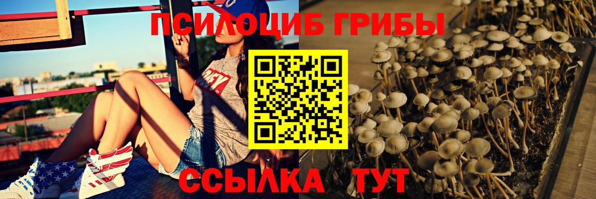 Псилоцибиновые грибы Magic Shrooms Сухой Лог