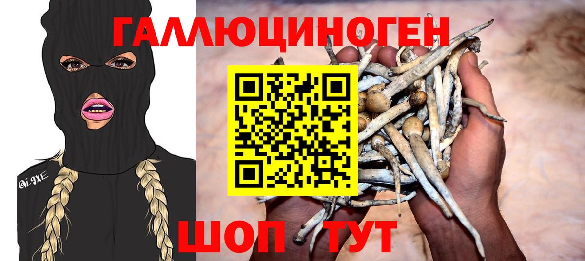 Галлюциногенные грибы ЛСД  Вход с VPN  Сухой Лог 
